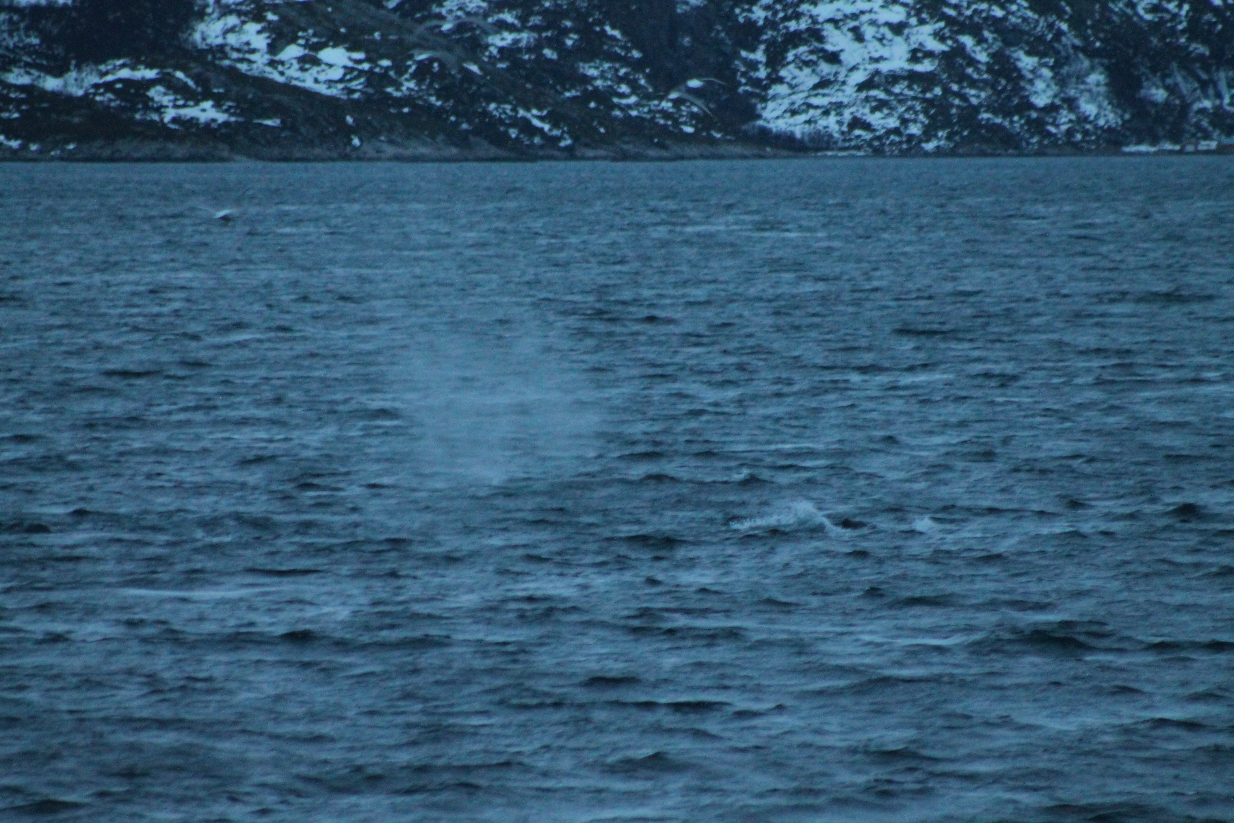 2014-01-03_12.08.02_Tromso_C112